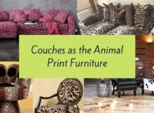 Couches as the animal print furniture