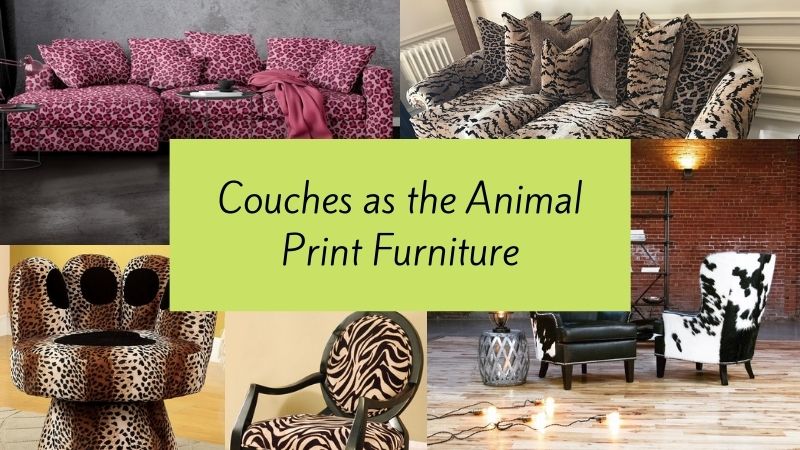 Couches as the animal print furniture